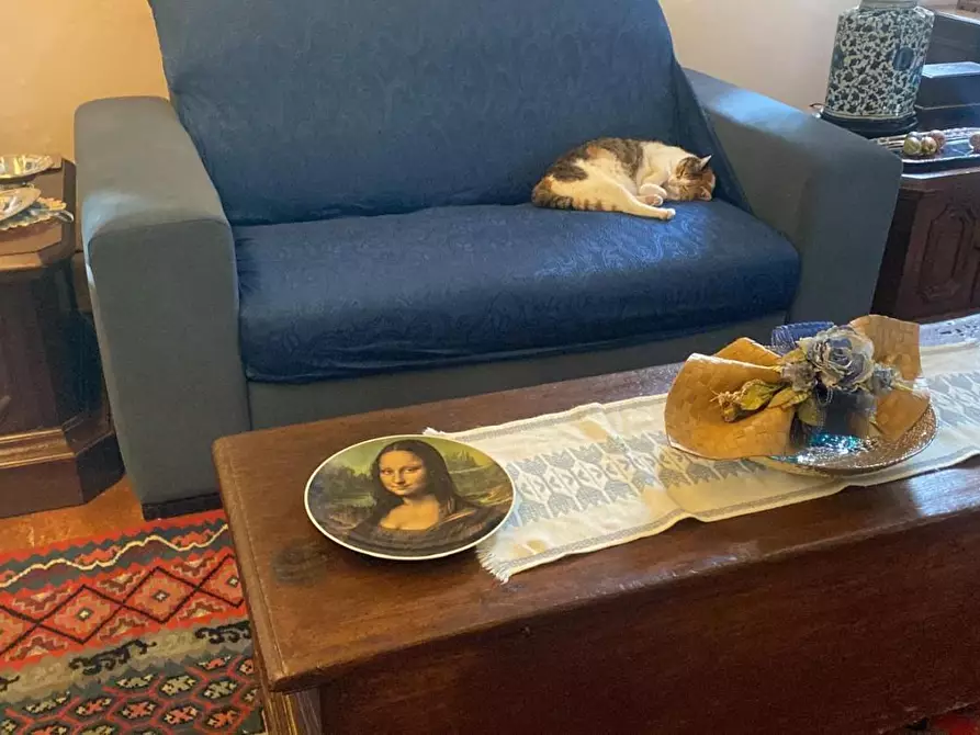 Immagine 23 di Casa colonica in vendita  a Collesalvetti