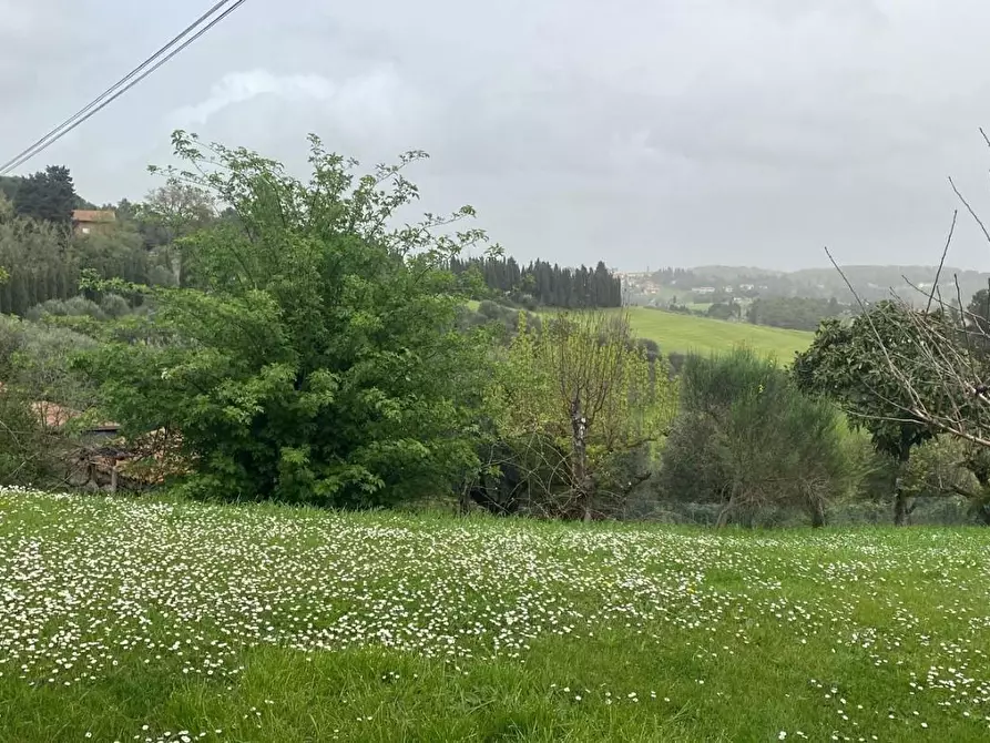 Immagine 9 di Casa colonica in vendita  a Collesalvetti