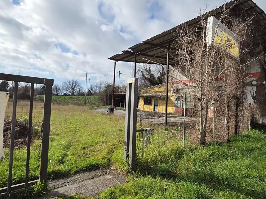 Immagine 6 di Attività artigianale in vendita  a Capannori