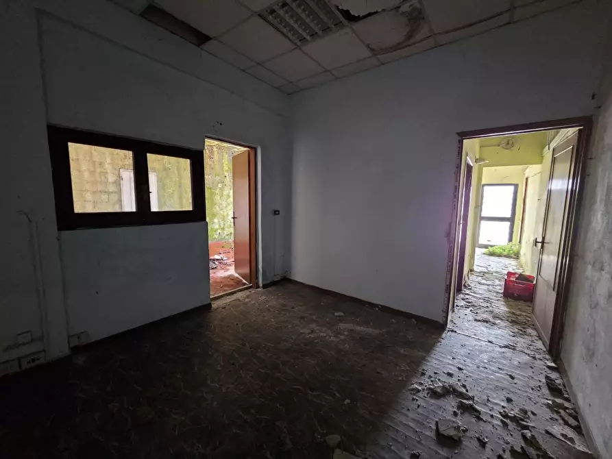 Immagine 11 di Attività artigianale in vendita  a Capannori