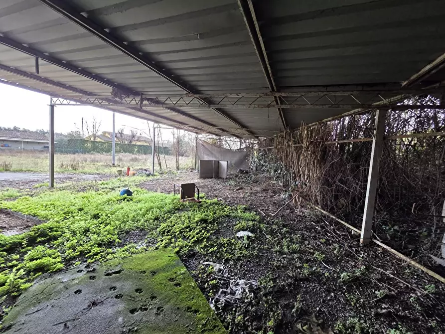 Immagine 2 di Attività artigianale in vendita  a Capannori