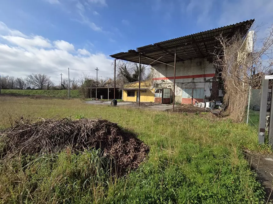 Immagine 30 di Attività artigianale in vendita  a Capannori