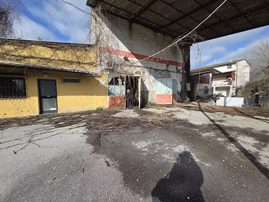 Immagine 16 di Attività artigianale in vendita  a Capannori