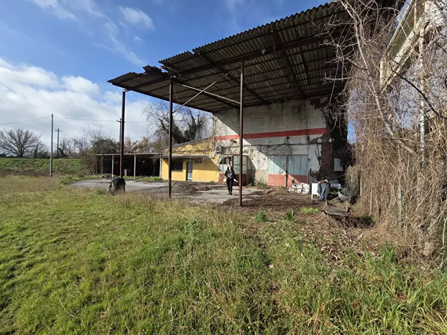 Immagine 31 di Attività artigianale in vendita  a Capannori