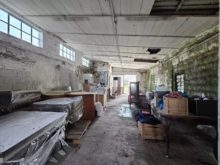 Immagine 21 di Attività artigianale in vendita  a Capannori