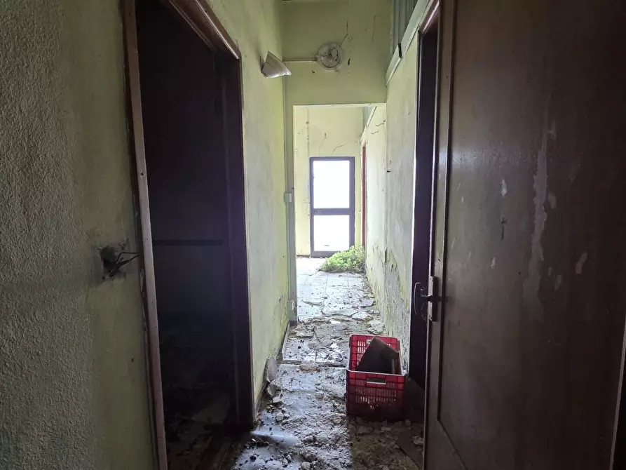 Immagine 10 di Attività artigianale in vendita  a Capannori