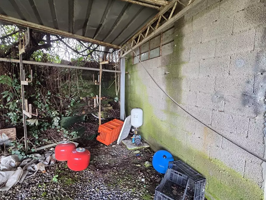 Immagine 5 di Attività artigianale in vendita  a Capannori