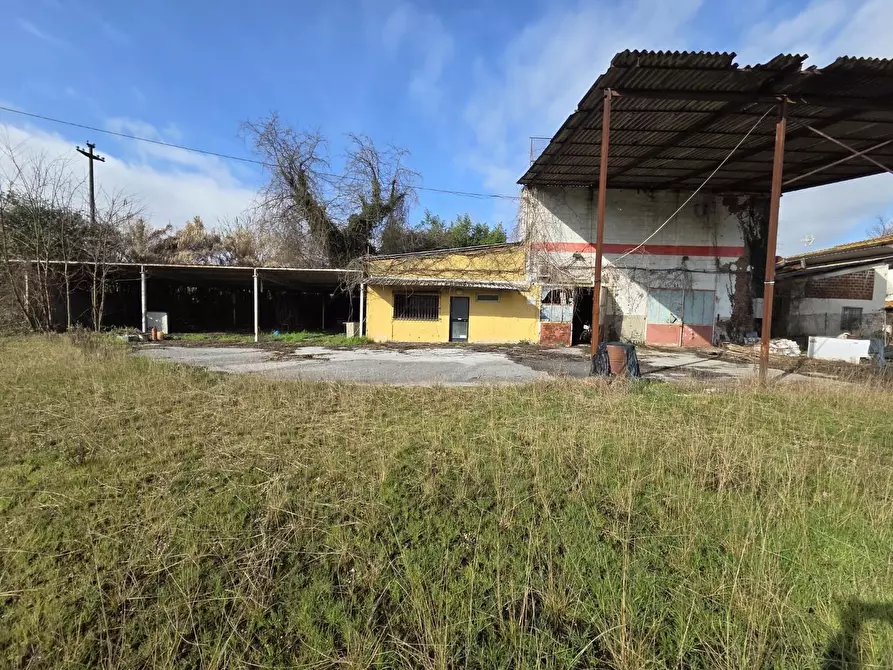 Immagine 1 di Attività artigianale in vendita  a Capannori