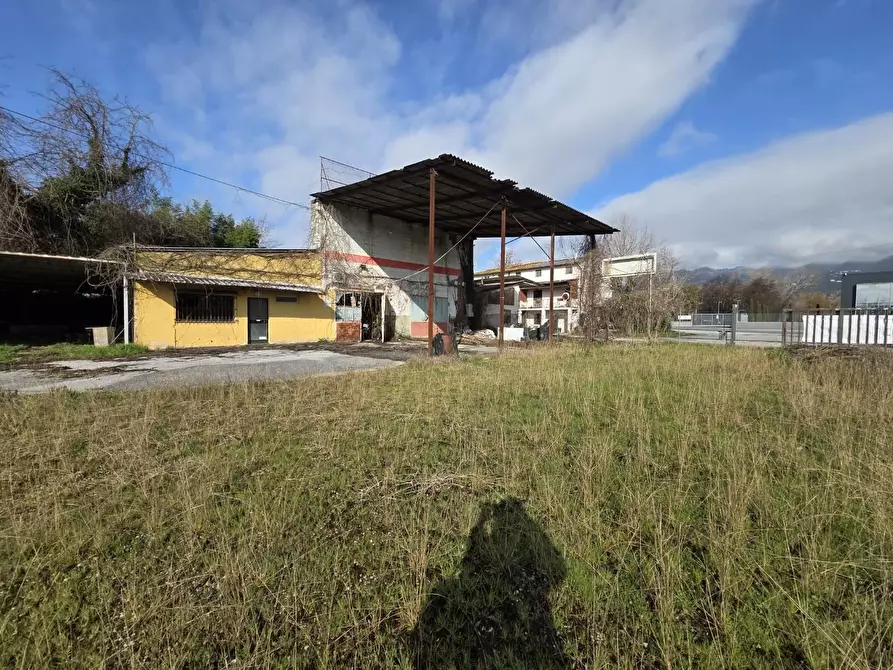 Immagine 26 di Attività artigianale in vendita  a Capannori