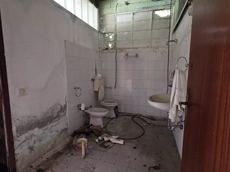 Immagine 8 di Attività artigianale in vendita  a Capannori