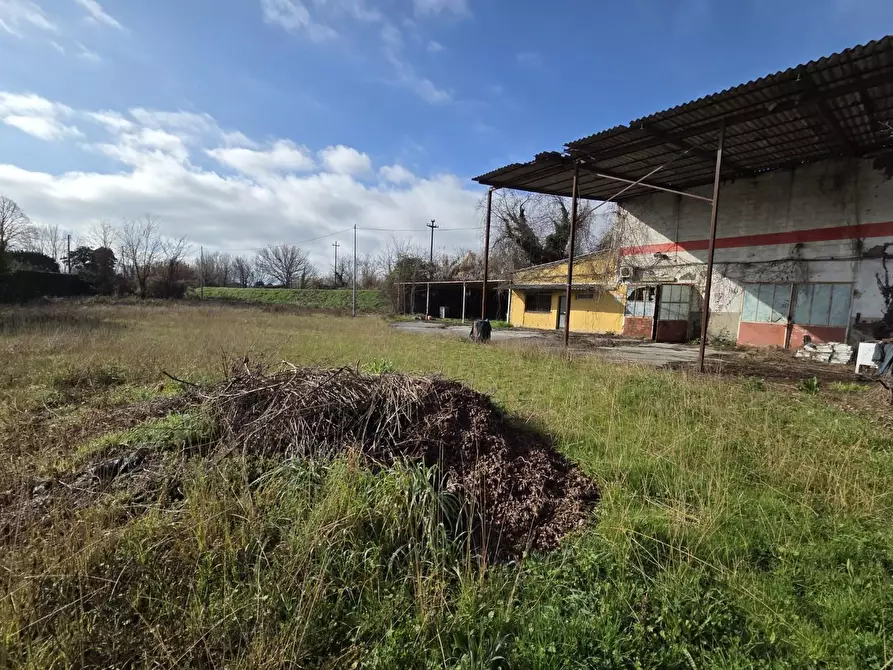 Immagine 29 di Attività artigianale in vendita  a Capannori