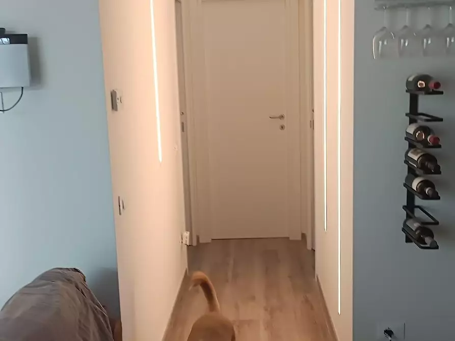 Immagine 10 di Villa in vendita  a Massa