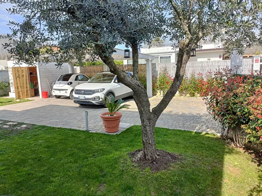 Immagine 4 di Villa in vendita  a Massa