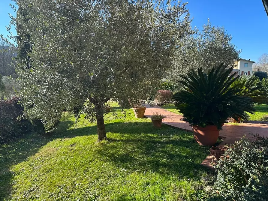 Immagine 7 di Villa in vendita  a Lucca