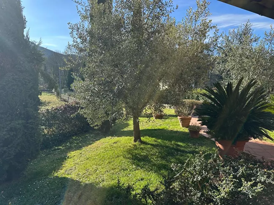 Immagine 5 di Villa in vendita  a Lucca