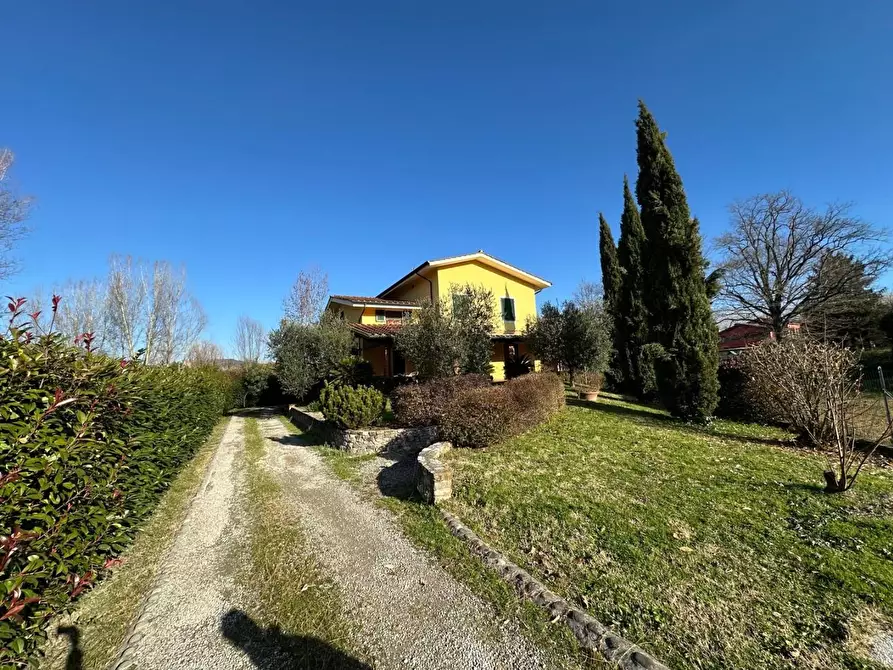 Immagine 2 di Villa in vendita  a Lucca