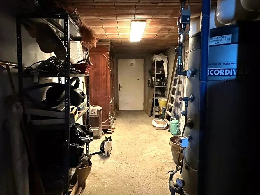 Immagine 43 di Villa in vendita  a Lucca