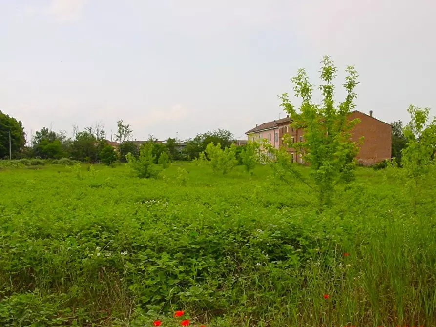 Immagine 3 di Terreno residenziale in vendita  a Alessandria