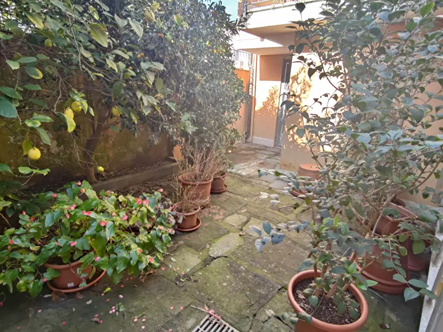Immagine 29 di Casa semindipendente in vendita  a Viareggio