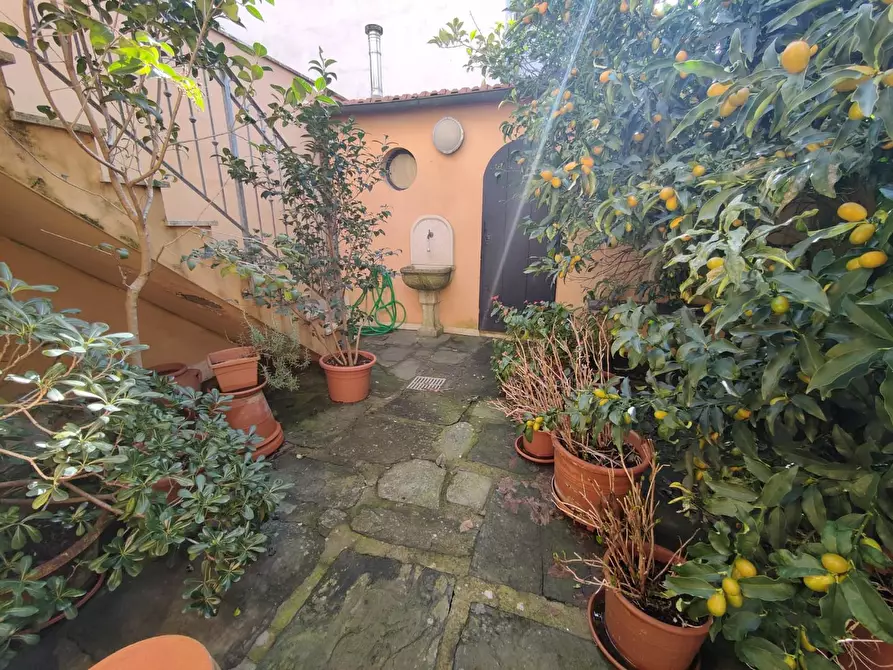 Immagine 28 di Casa semindipendente in vendita  a Viareggio