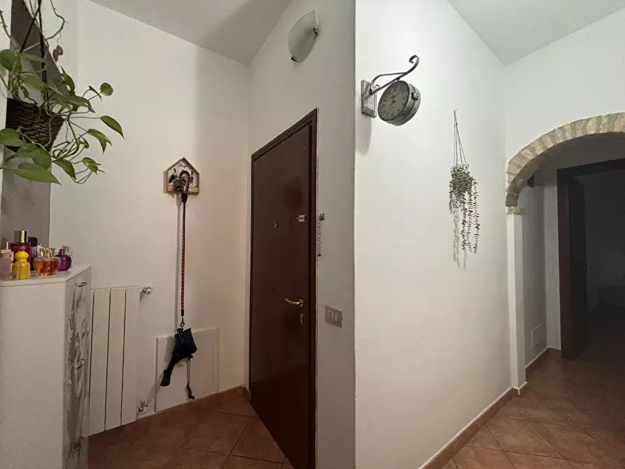 Immagine 4 di Appartamento in vendita  a Fauglia