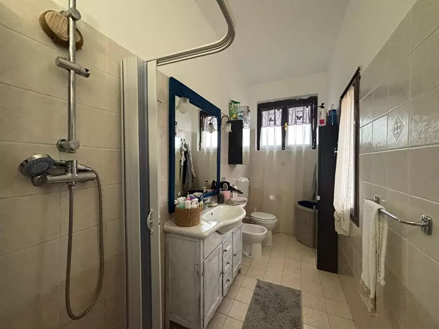 Immagine 5 di Appartamento in vendita  a Fauglia