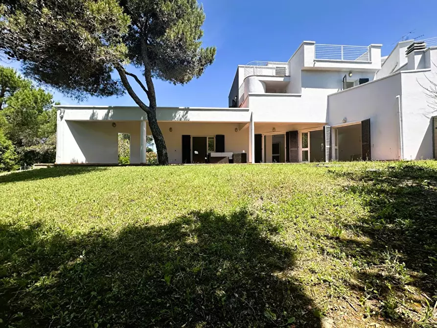 Immagine 4 di Villa in vendita  a Rosignano Marittimo