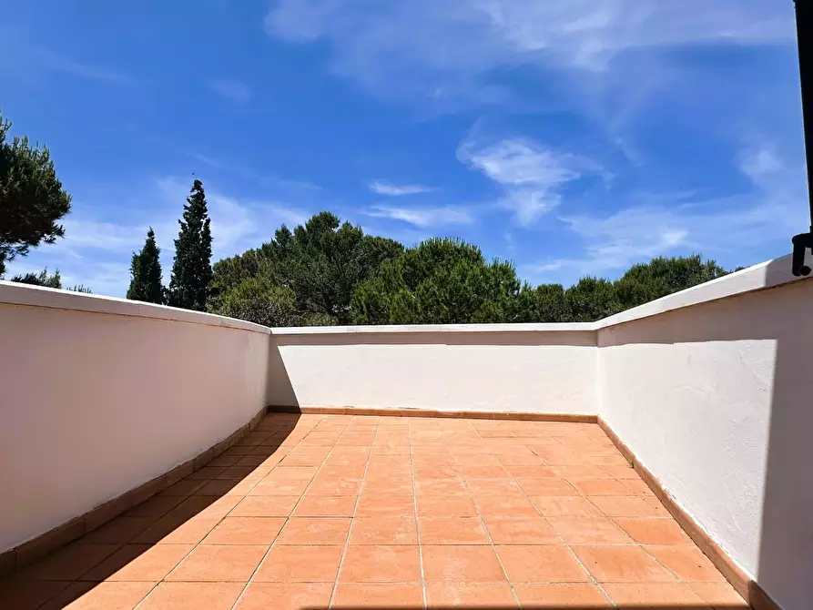 Immagine 23 di Villa in vendita  a Rosignano Marittimo