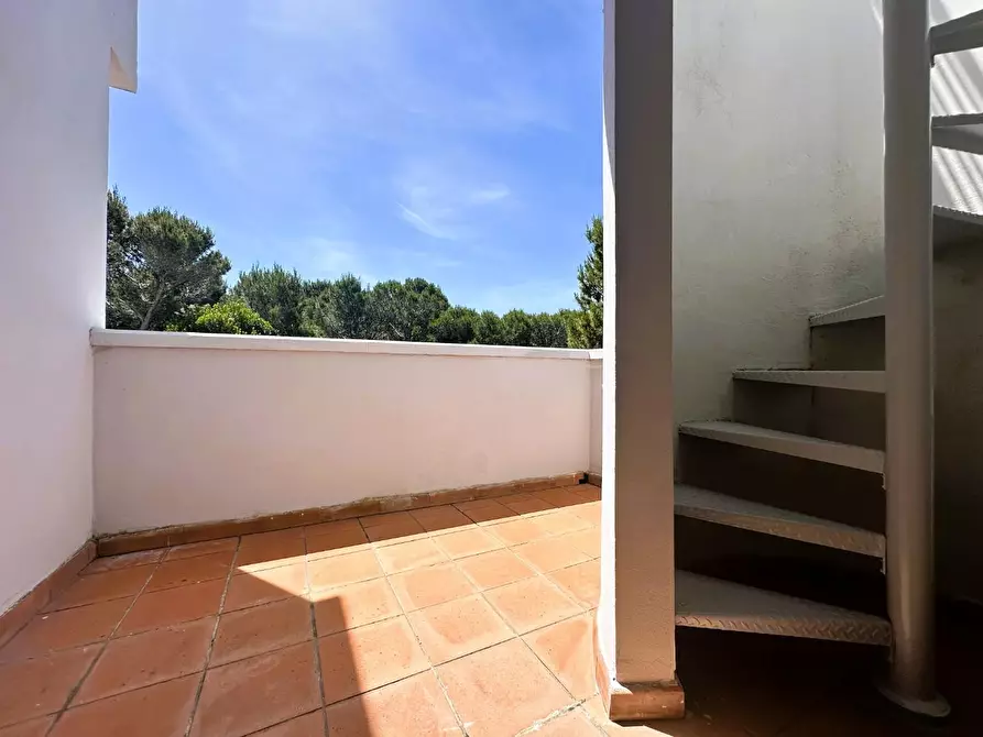 Immagine 31 di Villa in vendita  a Rosignano Marittimo