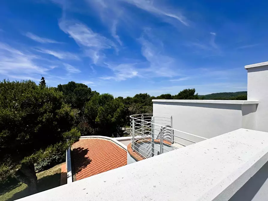 Immagine 35 di Villa in vendita  a Rosignano Marittimo