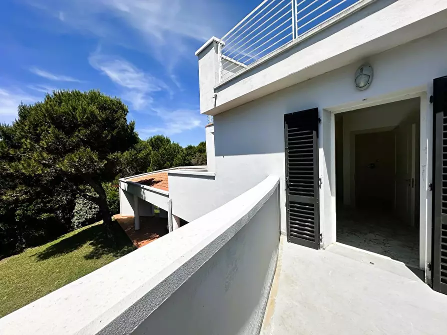 Immagine 30 di Villa in vendita  a Rosignano Marittimo