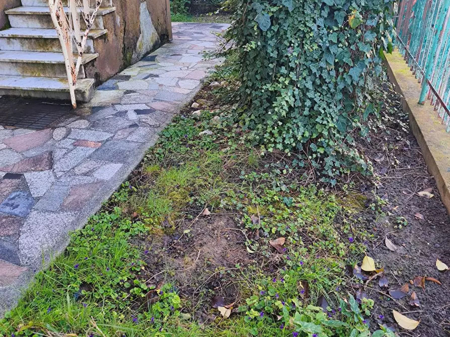 Immagine 20 di Casa indipendente in vendita  a Ameglia