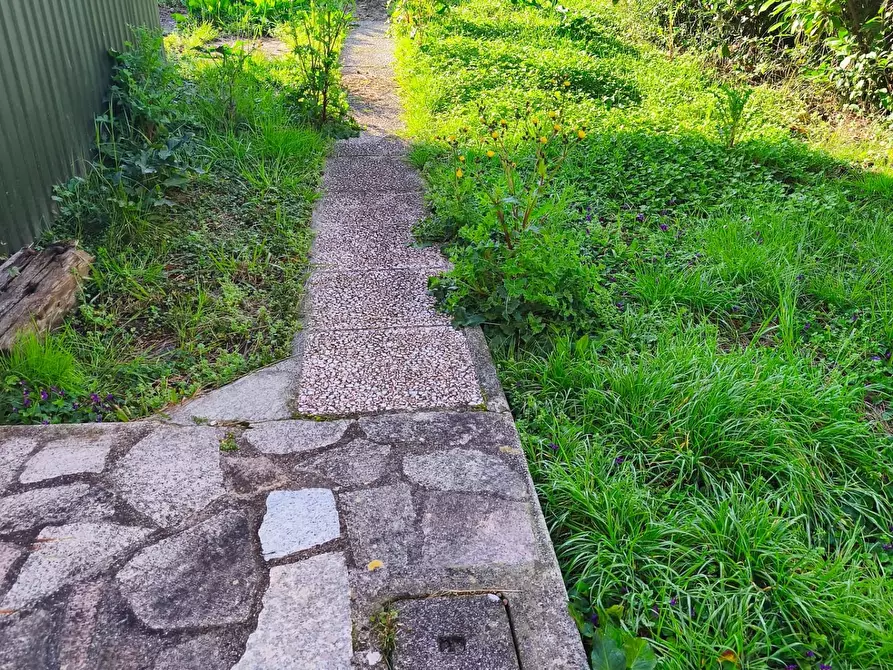 Immagine 4 di Casa indipendente in vendita  a Ameglia
