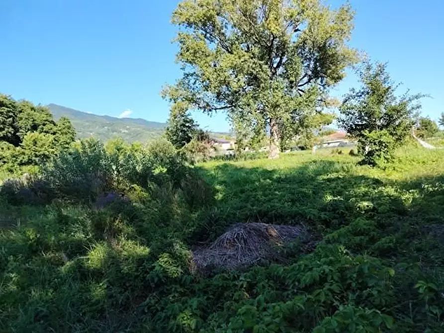 Immagine 1 di Terreno agricolo in vendita  a Massa