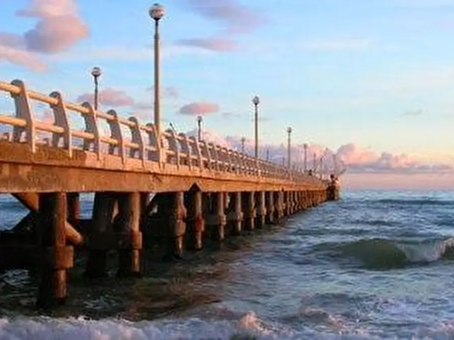 Immagine 5 di Terreno agricolo in vendita  a Massa