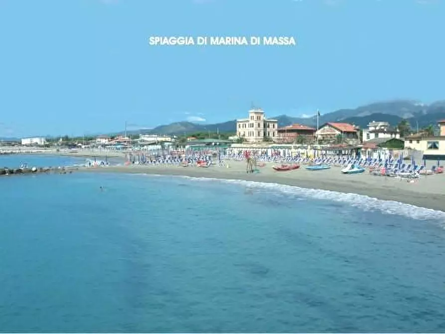 Immagine 4 di Terreno agricolo in vendita  a Massa