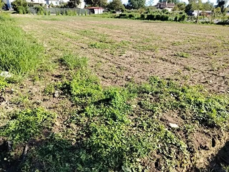 Immagine 2 di Terreno agricolo in vendita  a Massa