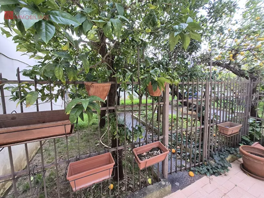 Immagine 9 di Casa indipendente in vendita  a Salice Salentino