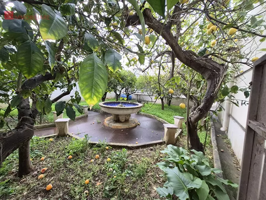 Immagine 8 di Casa indipendente in vendita  a Salice Salentino