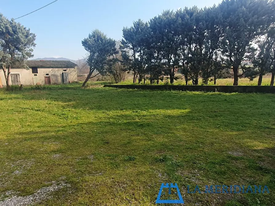 Immagine 7 di Attività artigianale in vendita  a Larciano