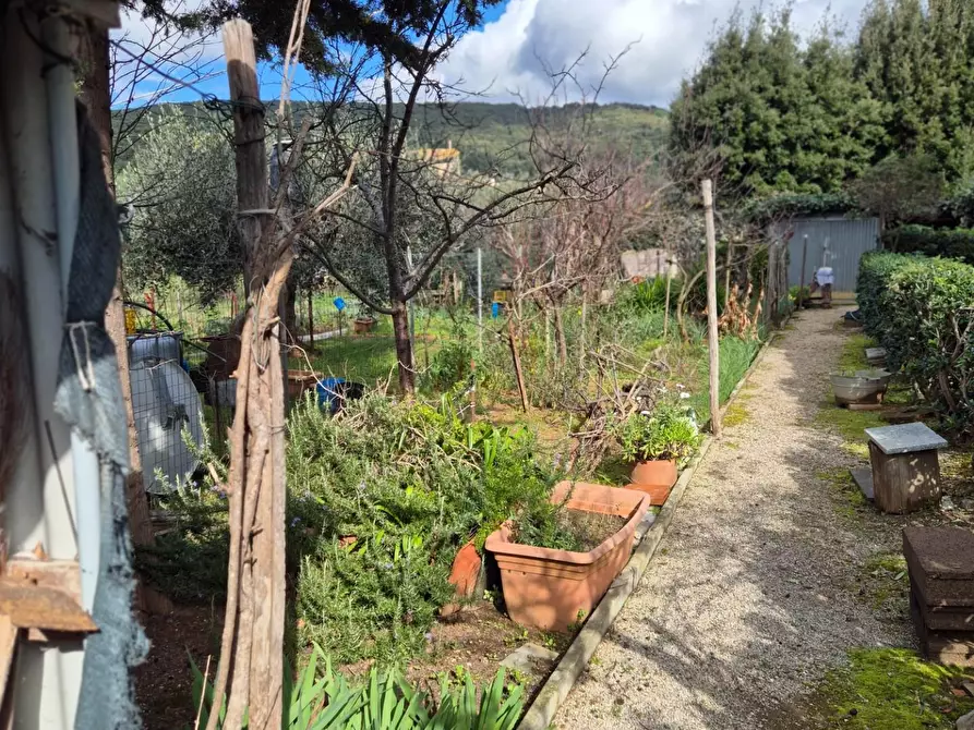 Immagine 6 di Casa bifamiliare in vendita  a Campiglia Marittima