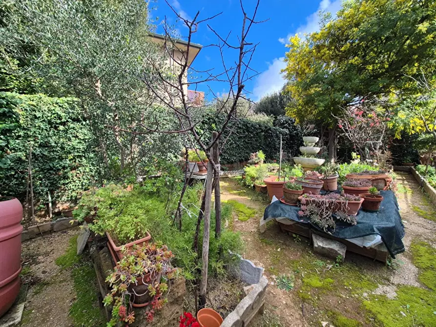 Immagine 8 di Casa bifamiliare in vendita  a Campiglia Marittima