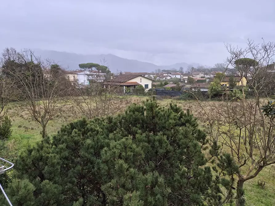 Immagine 8 di Appartamento in vendita  a Massa