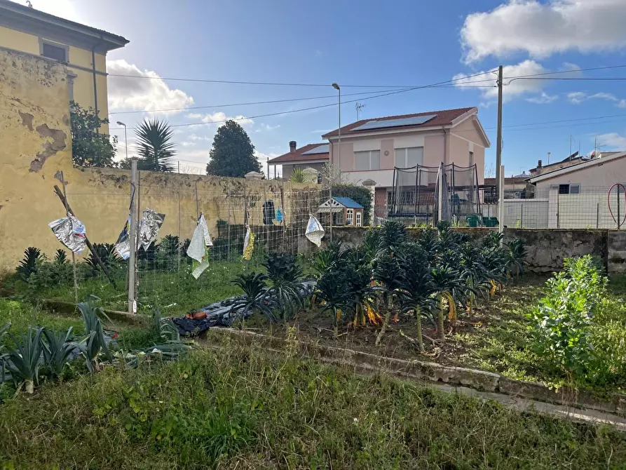 Immagine 20 di Terratetto in vendita  a Cascina