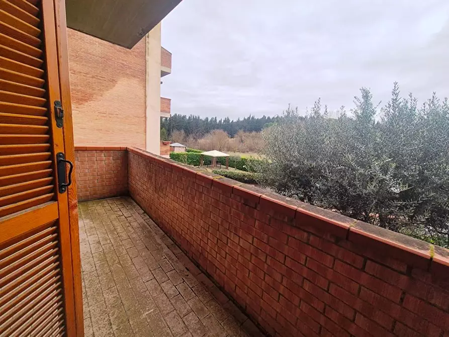 Immagine 15 di Appartamento in vendita  a Siena