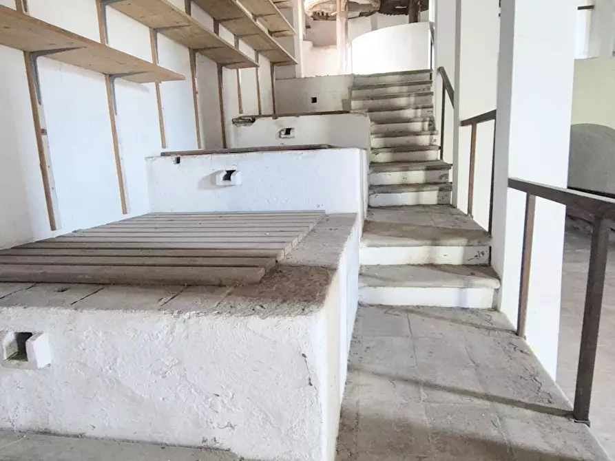 Immagine 21 di Rustico / casale in vendita  a Camaiore