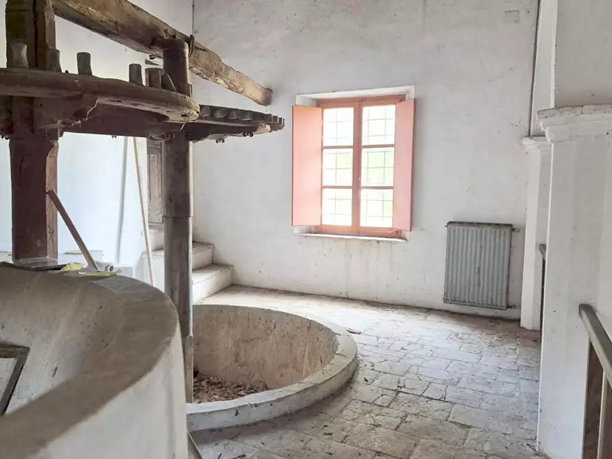 Immagine 26 di Rustico / casale in vendita  a Camaiore