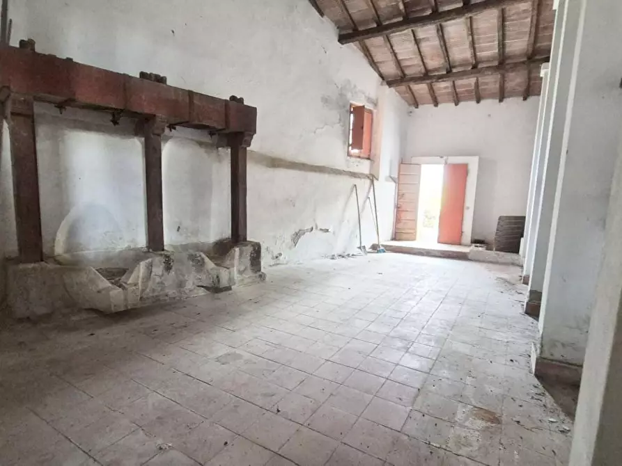 Immagine 11 di Rustico / casale in vendita  a Camaiore