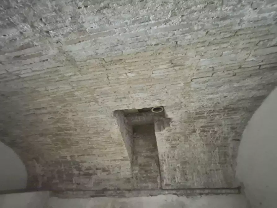 Immagine 8 di Rustico / casale in vendita  a Camaiore