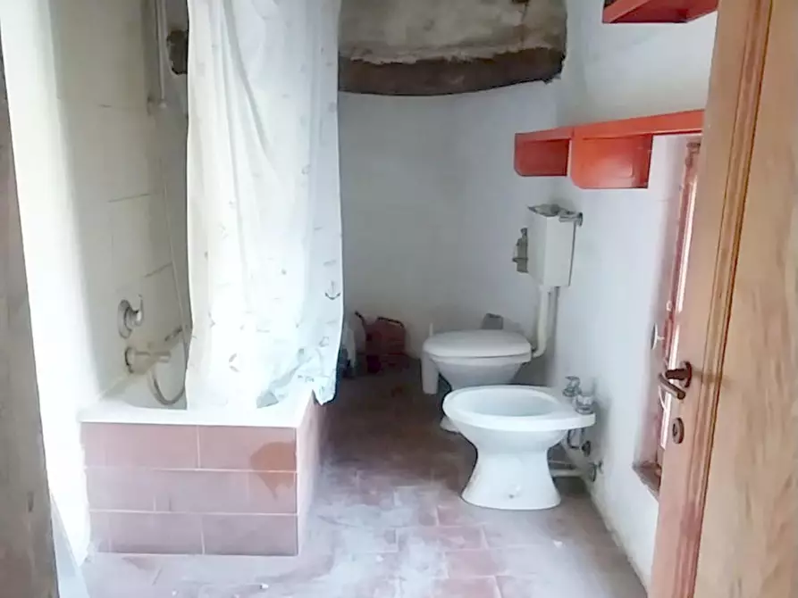 Immagine 36 di Rustico / casale in vendita  a Camaiore